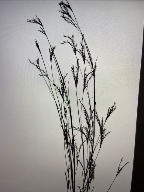 Sea Oats Tattoo, Reeds Tattoo, Grass Tattoo Design, Grass Tattoo, Illustrated Plants, River Tattoo, Grass Silhouette, Tattoo Pierna, Landscape Business