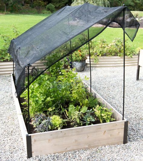 Shade Cloth Garden, Garden Sun Shade, Diy Shades, Raised Garden Beds Diy, Diy Yarn, Furniture Cheap, Shade Cloth, Vegetable Garden Design, Covent Garden