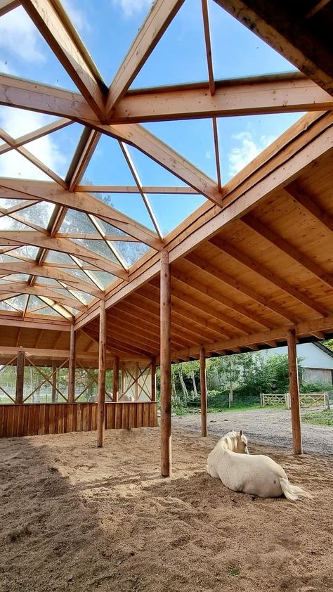 Stable For Horses, Small Horse Paddock, Horse Ideas Stables, Fancy Horse Stables, Donkey Stable Ideas, Horse Paddock Paradise, Paddock Paradise Layout, Horse Property Layout, Run In Shed For Horses