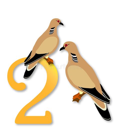 12 Days of Christmas: 2 Turtle Doves. Two turtle doves. Part 2 of the 12 Days of , #sponsored, #Christmas, #Turtle, #Days, #doves, #Part #ad 12 Days Of Christmas Illustration, Old Christmas Songs, 2 Turtle Doves, Two Turtle Doves, 12 Days Of Xmas, Turtle Doves, The 12 Days Of Christmas, Turtle Dove, Christmas Graphics