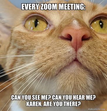 10 Funny Zoom Meeting Memes to Get You Through Your Working Day Zoom Meeting Funny, Meeting Memes, Meetings Humor, Fun Icebreakers, Zoom Meeting, 10 Funniest, Funny Captions, Science Fiction Tv, Horror Music