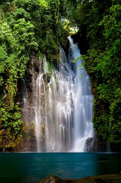 Tinago Falls, Iligan, Philippines Tinago Falls, Falling Water, Philippines Travel, Beautiful Waterfalls, Incredible Places, Kauai, The Philippines, Amazing Nature, Natural Wonders