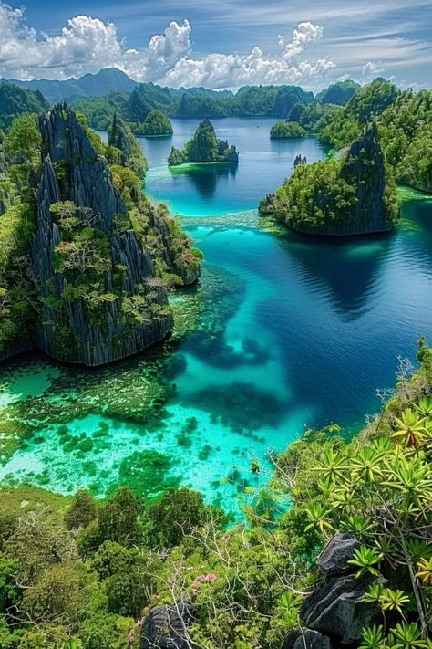 Underwater Scenery, Raja Ampat Islands, Coron Island, Valley Of Flowers, West Papua, Raja Ampat, Scenic Photography, The Royals, Hidden Treasure