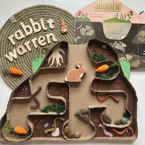 Rabbit Warren, Wc Oc, 2023 Rabbit, Different Animals, Small Group Activities, Group Activities, Small Group, Small Groups, Home Projects