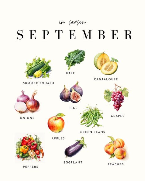 September Seasonal Food, September Fruits In Season, September In Season Produce, September Seasonal Produce, September Vegetables In Season, September Foods In Season, Recipes For September, Fall Produce In Season, October Seasonal Produce