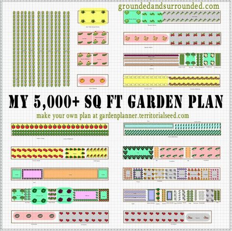 19 Vegetable Garden Plans & Layout Ideas That Will Inspire You Vegetable Garden Plan, Vegetable Garden Plans, Large Vegetable Garden, Vegetable Garden Layout, Large Backyard Landscaping, Vegetable Garden Planner, Patio Layout, Vertical Vegetable Garden, Garden Layout Vegetable