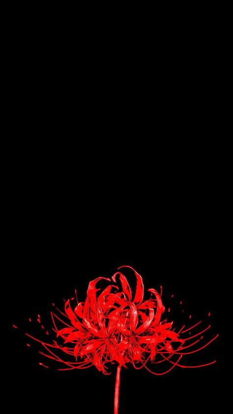 Spider Flower Anime, Red Spider Lily Wallpaper Anime, Tokyo Ghoul Flower Wallpaper, Tokyo Ghoul Red Flower, Tokyo Ghoul Spider Lily Tattoo, Red Spider Lily Wallpaper Iphone, Anime Red Flower, Dark Red Anime Wallpaper, Red Spider Lily Anime