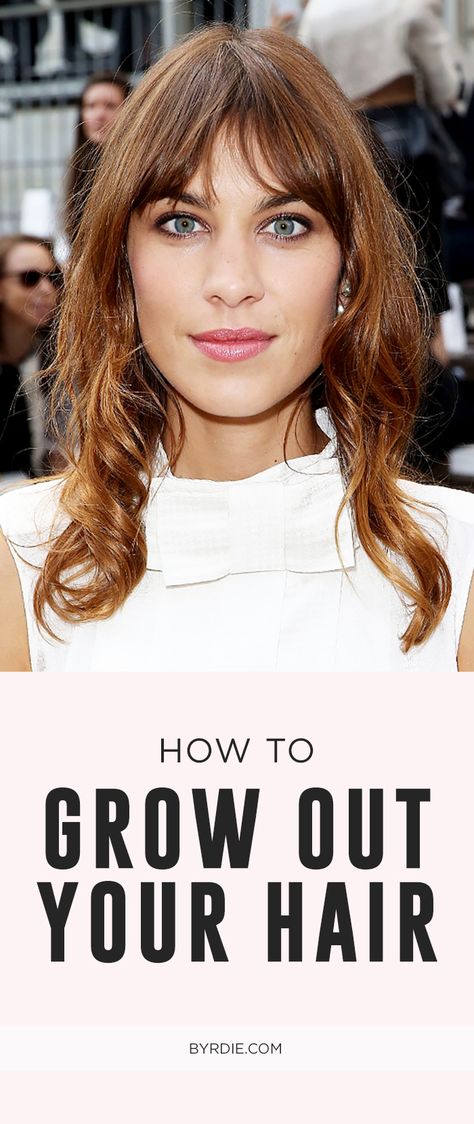 Trying to grow out your pixie or bob? These hair tricks will help you conquer the awkward in-between stage Growing Out Your Hair, Cool Haircuts For Girls, Growing Out Hair, I Like Your Hair, Homemade Hair Treatments, Hair Tricks, Homemade Hair, Fall Hair Cuts, Homemade Hair Products