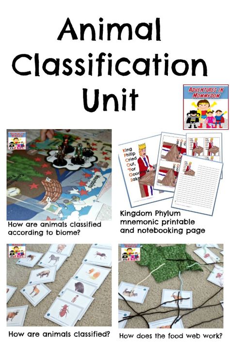 animal classification unit Animal Classification Activity, Homeschool Science Experiments, Logic And Critical Thinking, Animal Lessons, Messy Life, Animal Classification, Biology Labs, Montessori Homeschool, Science Lesson