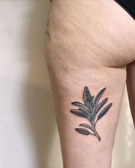 🌿Julia Hayes🌿 on Instagram: “Sage sprig!! Sweet herb bb in the cutest placement. Thank you so much Sam!! You’re great! #sage #sagetattoo #herb #herbal #botanicaltattoo…” Sage Tattoo, Tattoo Old School, Botanical Tattoo, School Tattoo, White Sage, Old School Tattoo, Maple Leaf Tattoo, Tattoos And Piercings, Thank You So Much