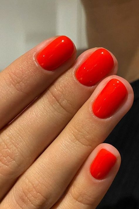 Nagellack Trends, Red Nail Polish, Red Nail, Shellac Nails, Polish Colors, Summer Nails Colors, Orange Nails, Manicure Y Pedicure, Winter 2024