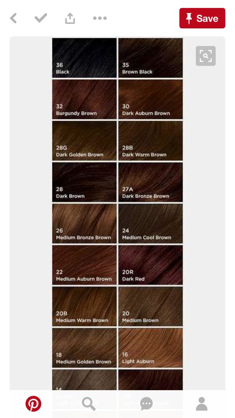 Shades Of Brown Hair Color Chart, Red Hair Chart, Reddish Hair Color, Brown Pallet, Brownish Red Hair, Brown Hair Color Chart, Hair Chart, Reddish Hair, Revlon Colorsilk