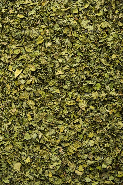 Kasoori methi or Dried fenugreek Leaves by stockimagefactory. Kasuri Methi / Kasoori Methi or dried fenugreek leaves also known as Trigonella Foenum Graecum #Sponsored #fenugreek, #Leaves, #stockimagefactory, #Kasoori Kasoori Methi, Fenugreek Benefits, Kasuri Methi, Growing Healthy Hair, Health Fitness Food, Fenugreek Leaves, Health Dinner, Fenugreek Seeds, Health Dinner Recipes