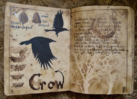 Fantasy Journal First Page, Fantasy Journal Pages Map, Fantasy Journal Aesthetic, Fantasy Journal Pages Ideas, Fantasy Journal Ideas, Dnd Journal Ideas, Rpg Journal, Fantasy Journal Pages, Fantasy Sketchbook