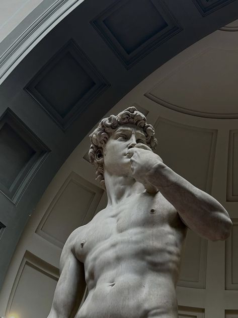 David Florence, Accademia Gallery, Michelangelo David, Aesthetic Statue, Italian Statues, Roman Busts, Roman Statue, Greek Statues, Rennaissance Art