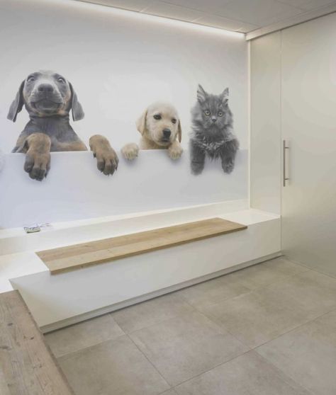 Vet Office Decor, Grooming Salons, Pet Store Design, Pet Store Ideas, Pet Cafe, Dog Lounge, Pet Grooming Salon, Dog Grooming Shop, Dog Spa