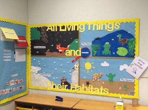 Habitat Classroom Transformation, Habitat Bulletin Board Ideas, Habitats Bulletin Board, Animal Habitats Preschool, K4 Classroom, Senior Kindergarten, Summer School Themes, Habitat Project, Spring Lesson Plans