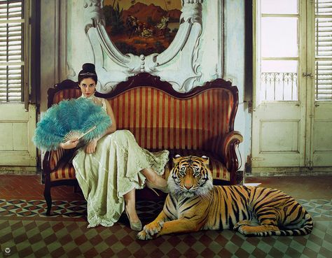 Utopia Fashion, Royal Animals, Tiger Photography, Tiger Art, Original Fine Art, Artwork For Sale, Emerging Artists, Beautiful Photography, Art Original