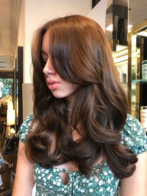 Medium Length Haircut Curly Or Straight, Soft Layers Long Hair Face Framing, Haircut Inspo Medium, 10 Major Winter Hair Colors, Winter Hair Colors, Bangs With Medium Hair, Hairstyles For Layered Hair, Haircuts For Medium Hair, Based On Your Zodiac Sign