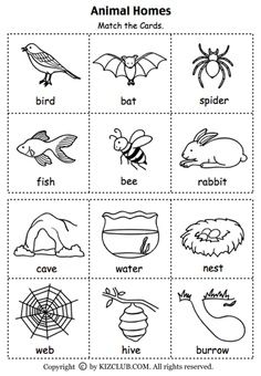 Animal Habitats Printables | ... set of cards for matching animals to their homes. Animal habitats Animal Habitats Kindergarten, Personal Worksheets, Habitats Preschool, Habitat Worksheet, Animal Habitats Preschool, Science Kindergarten, Animals And Their Homes, Animal Homes, Animal Habitat