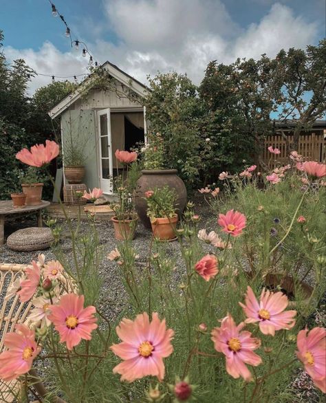 Cottage Garden Aesthetic, Cosmos Garden, Highland Cottage, Garden Cosmos, City Gardening, Flower Cosmos, French Cottage Garden, Garden Huts, Allotment Garden