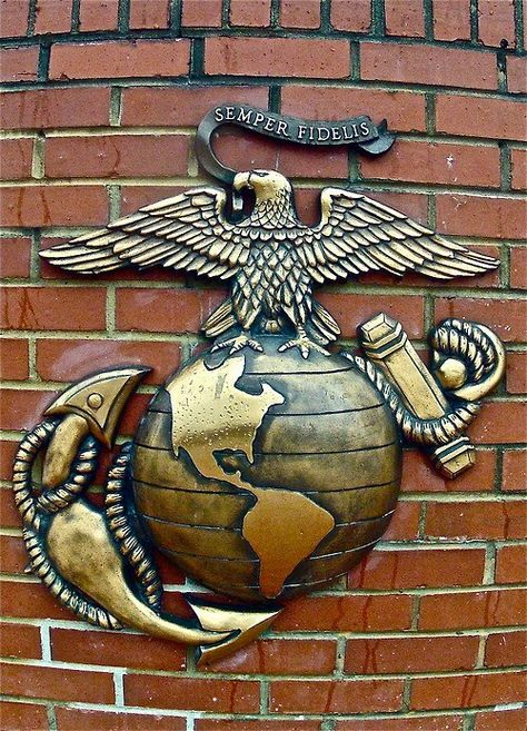 Eagle, globe and anchor! Eagle Globe And Anchor, Marine Corps Humor, Sarah Grace, Once A Marine, Semper Fidelis, Devil Dogs, Marine Mom, Semper Fi, Military Humor