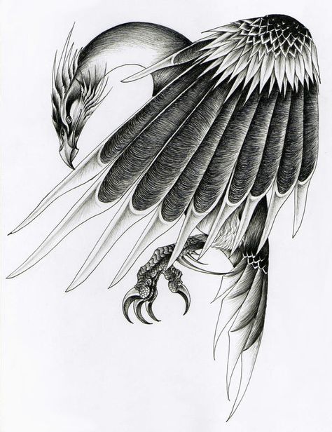 Mythological Creatures - Stymphalian Birds - Wattpad Stymphalian Birds, Deer Skull Tattoos, Phoenix Drawing, Bird Man, To Paint, Man Eating, Mythical Birds, Phoenix Tattoo Design, Mythology Tattoos