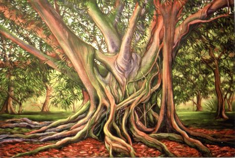 A Banyan Tree in Miami Fl. Oil painting by Charles Dickinson Banyan Tree Art, Figure Sketches, Florida Landscape, Tree Paintings, Human Figure Sketches, Hawaiian Art, Tree Sketches, Painting For Home, St Petersburg Fl