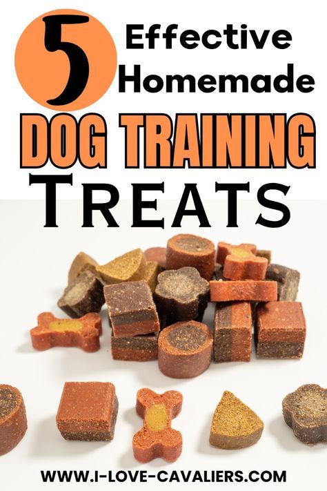 Peanut Butter Training Treats, Training Treats For Puppies Homemade Dog, Diy Dog Training Treats Easy, Organic Puppy Treats, Best Dog Treats For Training, Homemade Training Treats For Puppies, Homemade Dog Treats For Training, Low Calorie Treats For Dogs, Diy Dog Training Treats Recipes