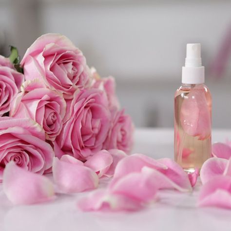 Save Your Skin With a DIY Rosewater Spray Rose Water Hair, Rose Toner, How To Make Rose, Hair Regimen, Coming Up Roses, Facial Spray, Beauty Remedies, Beauty Boutique, Natural Beauty Tips