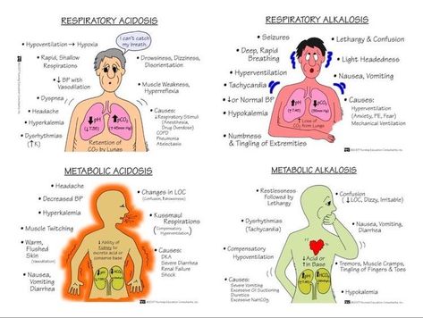 Metabolic Acidosis and Alkalosis Metabolic Alkalosis Nursing, Metabolic Acidosis Nursing, Metabolic Acidosis Vs Alkalosis Nursing, Metabolic Acidosis Mnemonic, Respiratory Acidosis Nursing, Alkalosis Vs Acidosis Nursing, Acidosis Vs Alkalosis Cheat Sheets, Hypoxia Vs Hypoxemia, Respiratory Acidosis Vs Alkalosis