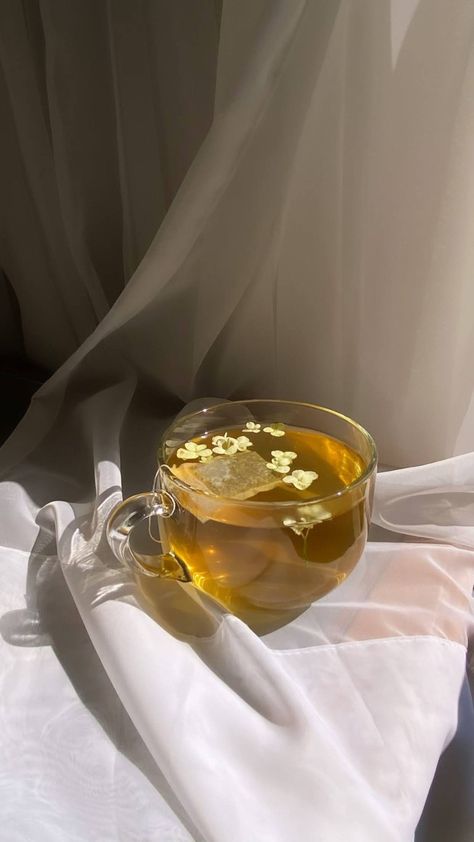 Tea Asthetic Pics, Different Teas, Health Benefits Of Tea, Better Gut Health, Benefits Of Tea, Chrysanthemum Tea, Bath Aesthetic, Tea Health Benefits, Artificial Sweeteners