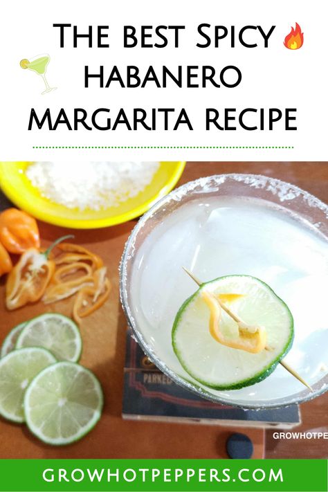 spicy margarita recipe with habanero, lime and silver tequila Jalapeno Margarita Recipe, Habanero Margarita, Vodka Margarita, Spicy Margarita Recipe, Easy Margarita Recipe, Ideas For Appetizers, Raspberry Mojito, Traditional Margarita, Spicy Cocktail