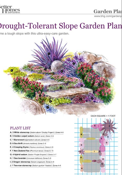 Slope Garden, Desert Landscape Design, Flower Garden Plans, Deck Privacy, Rock Walls, Hillside Garden, Garden Plan, Sloped Garden, Garden Design Plans