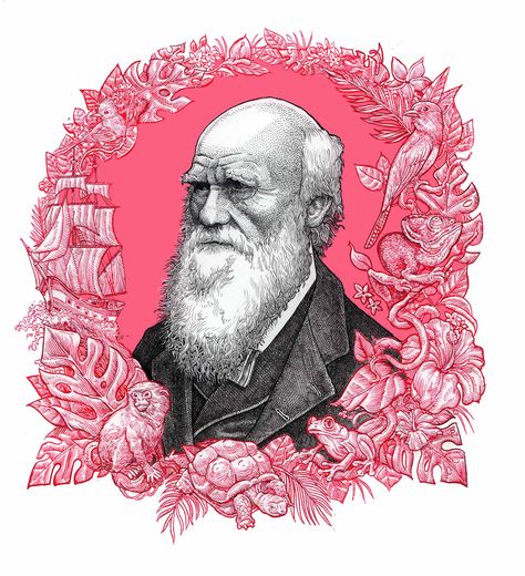 Charles Darwin Illustration, Rotring Pens, Evolution Art, Relief Prints, Bujo Ideas, Book Artwork, Notebook Art, Gothic Tattoo, Charles Darwin