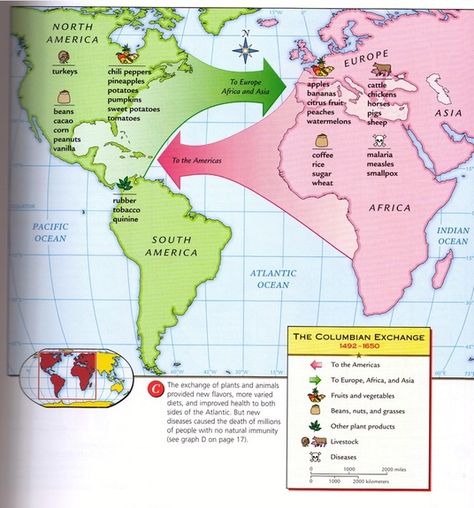 The arrival of Europeans in the Americas brought more than a clash of peoples and cultures. It also brought a movement of plants, animals, and diseases between the Eastern and Western hemispheres .... Colombian Exchange, Fruit And Vegetable Diet, Native American Tribes Map, Columbian Exchange, American History Timeline, Chicken Pumpkin, Lectures Room, 6th Grade Social Studies, Map Worksheets