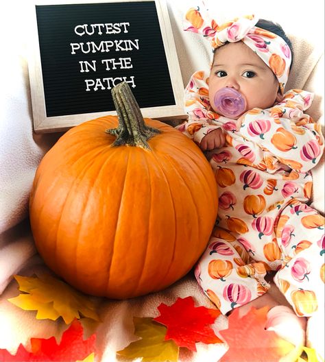 Pumpkin Milestone Pictures, 2 Month October Pictures, Pumpkin Baby Photoshoot, Milestone Ideas, Fall Baby Photos, Season Pictures, Fall Baby Pictures, Month Ideas, Halloween Pics