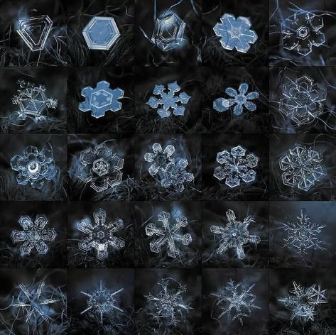 Geometry in Nature on Instagram: "Why are snowflakes hexagonal? The shapes of the snowflakes are influenced by the temperature and humidity of the atmosphere and are formed when the drops of water freezes on the particles of dust in the air. Depending on the temperature and humidity of the air where they form, the ice crest can grow in a multitude of different shapes. ㅤ Since the molecules in the ice crystals are in a hexagonal structure, an arrangement that allows water molecules - each with an Best Backrounds, Snowflake Photography, Snowflake Pictures, Snowflake Images, Geometry In Nature, Snowflake Photos, Snowflakes Falling, Angel Quotes, After Eight