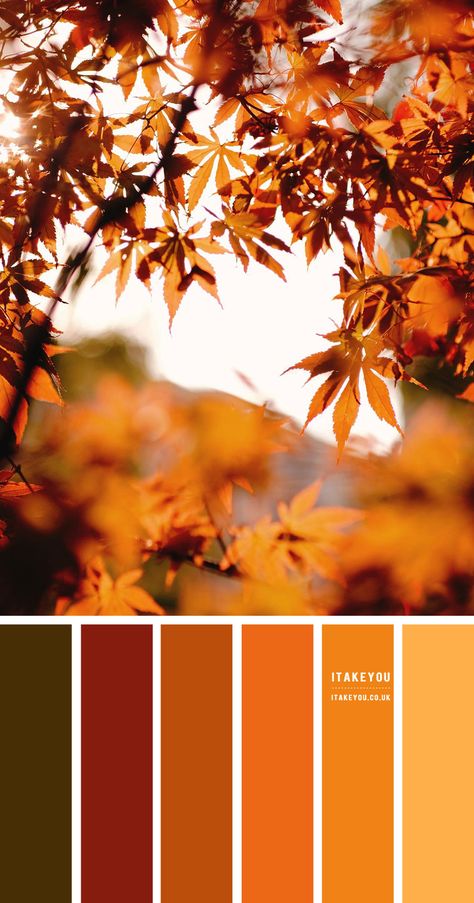 Lavender Hue – Color Palette #30 I Take You | Wedding Readings | Wedding Ideas | Wedding Dresses | Wedding Theme Autumn Colour Wedding Theme, Shades Of Autumn, Autumn Shades Colour Palettes, Fall Theme Colors, Autumn Leaves Colour Palette, Colours Of Autumn, Fall Color Dress, Autumn Palette Color, Autumn Colour Pallet