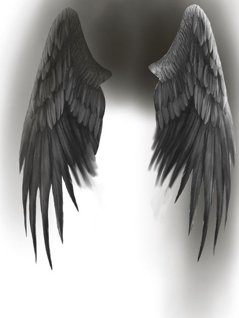 Fallen Angel Wings, Beautiful Spine Tattoos, Dark Angel Wings, Wing Tattoo Men, Wings Sketch, Angel Wings Drawing, Angel Wings Illustration, Spine Tattoo Ideas