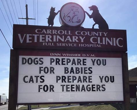 30 Of The Funniest Outdoor Signs From This Vet Clinic That Dad Joke Lovers Will Appreciate Funny Billboards, India Quotes, Carroll County, Veterinary Services, Vet Clinics, Veterinary Clinic, Business Success, What’s Going On, Dad Jokes