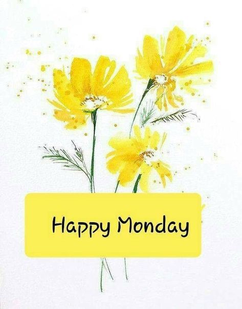 Happy Monday! Have a sunshiny kind of day! 🌞 Soft Voice, Blessed And Grateful, Morning Ideas, Happy Monday Images, Monday Greetings, Happy Monday Quotes, Happy Monday Morning, Monday Images, Feeling Alive