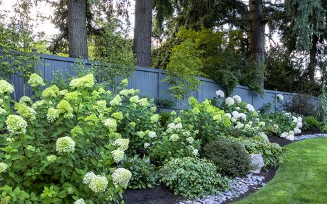 Using Layers to Wow in a Low-Water Shade Garden Hydrangea Landscaping, Garden Retaining Wall, Low Water Gardening, Limelight Hydrangea, Farmhouse Garden, Herbaceous Perennials, Drought Tolerant Plants, Ground Cover, English Garden