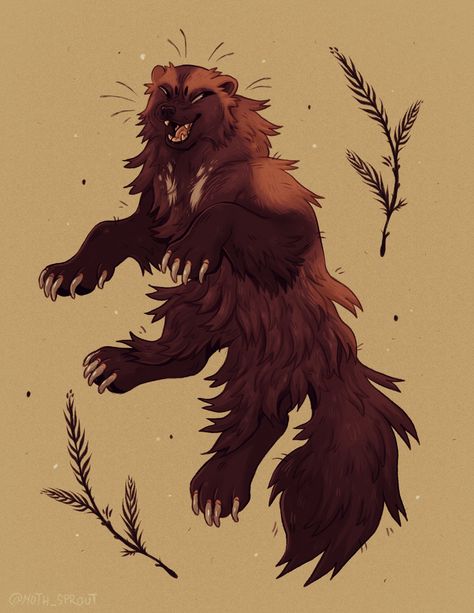 𓇙 𝕸𝖔𝖙𝖍 𓇙 on Twitter: "Wolverine! 🌲… " Wolverine Art Animal, Bug Bear Dnd, Wolverine Fursona, Wolverine Animal Art, Badger Fursona, Wolverine Animal Drawing, Wolverines Animal, Wolverine Oc, Honey Badger Art