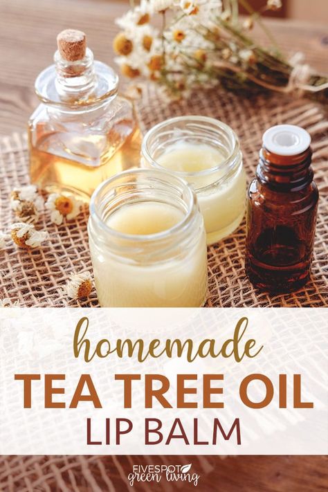 This recipe for homemade tea tree oil lip balm is so great because you can literally use any container you have to store it in! #teatreeoiluses #teatreeoil #essentialoils #skincare Tea Tree Oil Uses, Homemade Lip Balm Recipe, Lip Balm Recipe, Diy Lip Balm Recipes, Balm Recipe, Homemade Tea, Lip Balm Recipes, Homemade Lip Balm, Tea Diy