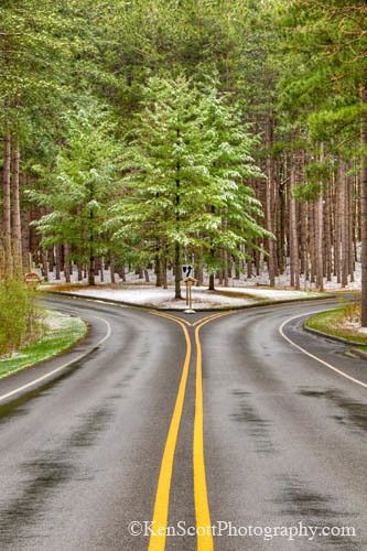 Fork In The Road, Creative School Project Ideas, The Road Not Taken, Yearbook Themes, Road Photography, Inspirational Posters, Cover Pics, Nature Illustration, Visual Design