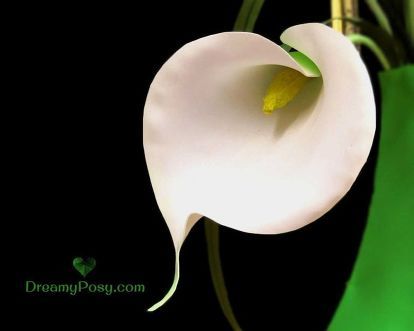 Paper Calla Lily, Flowers With Ribbon, Diy Paper Wall Hanging, Ribbon Flowers Diy, Foam Paper, Hanging Craft Ideas, Calla Lily Flowers, Wall Hanging Handmade, Paper Vase