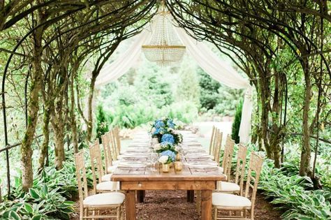 Wandering Tree Estate Wedding Garden Weddings Chicago Area Wedding… Wedding Venues In Illinois, Garden Wedding Venues, Illinois Wedding Venues, Bridal Fair, Intimate Wedding Venues, Chicago Wedding Venues, Garden Wedding Venue, Wedding Beach Ceremony, Victorian Wedding