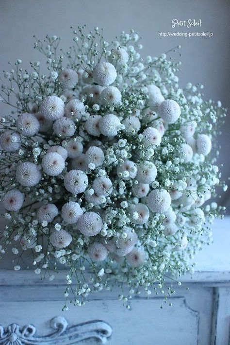 Chrysanthemum Bouquet, Elegant Bridal Bouquets, Bouquet Champetre, Deco Champetre, White Chrysanthemum, Babies Breath, Hand Bouquet, Baby's Breath, Bride Bouquets