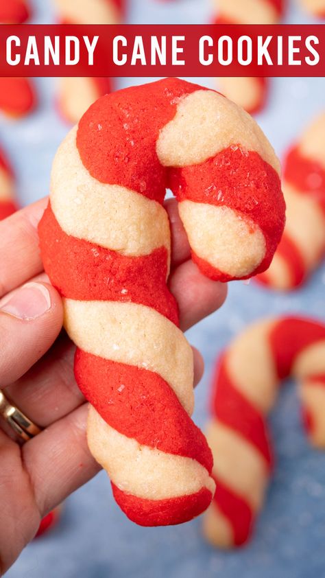 Festive cookies for the holiday season! Soft & buttery sweet candy cane cookies with a gorgeous red and white twist. Fun for kids to make! Hard Tack, Butter Spritz Cookies, Candy Cane Cookie Recipe, Candy Cane Cookie, Cookie Truffles, Christmas Cookies Kids, Traditional Christmas Cookies, Truffles Recipe, Cookies Soft